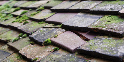 Hinwick roof repair costs